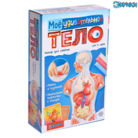 Набор для опытов &laquo;Моё удивительное тело&raquo;
