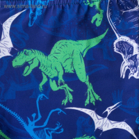 Плавки купальные для мальчика KAFTAN "Динозавры" рост 98-104 (30), цвет синий