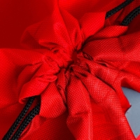 Мешок для обуви со светоотражающим элементом &laquo;Гоночная тачка&raquo; 30 х 40 см