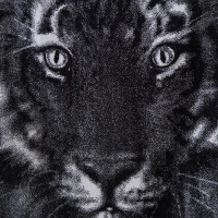 Полотенце махровое Этель ЧБ &laquo;Хищник&raquo; 50х90 см