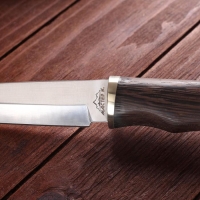 Нож охотничий "Эрни" 26см, клинок 145мм/3,8мм, дерево, микс Нож охотничий "Эрни" 26см, клинок 145мм/3,8мм, дерево, микс