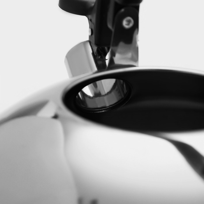 Чайник со свистком из нержавеющей стали &laquo;Семейный&raquo;, 2,8 л