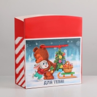 Пакет-коробка &laquo;Для тебя&raquo;, 23 х 18 х 11 см, Новый год