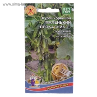 Семена Огурец "Маленький Проказник", F1, 8 шт Семена Огурец "Маленький Проказник", F1, 8 шт