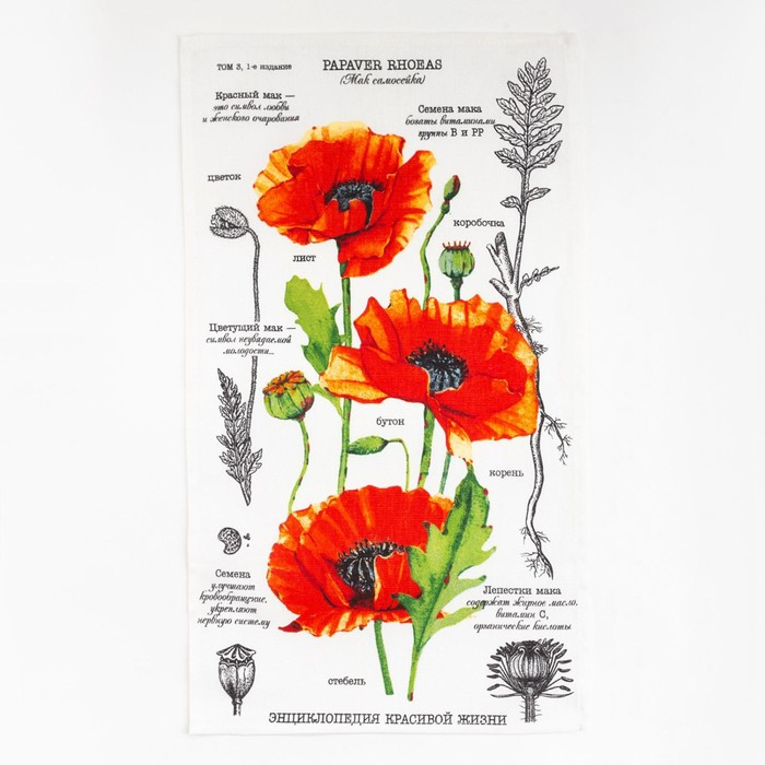 Набор кухонных полотенец Доляна &laquo;Тебе&raquo;, 35х60см-4шт, 100% хлопок