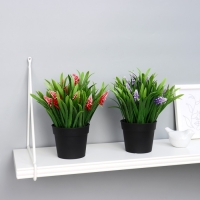 Бонсай в горшке "Альпиния" 9х20 см, микс Бонсай в горшке "Альпиния" 9х20 см, микс