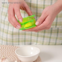 Измельчитель для чеснока Доляна «Хранитель», 8×3 см, цвет МИКС Измельчитель для чеснока Доляна «Хранитель», 8×3 см, цвет МИКС