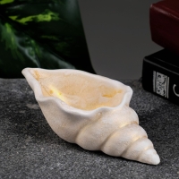 Фигурное кашпо "Ракушка" позолота, 13х6х3см Фигурное кашпо "Ракушка" позолота, 13х6х3см