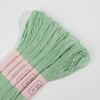 Набор ниток мулине №966, 8 ± 1 м, 6 шт, цвет нежно-зелёный Набор ниток мулине №966, 8 ± 1 м, 6 шт, цвет нежно-зелёный