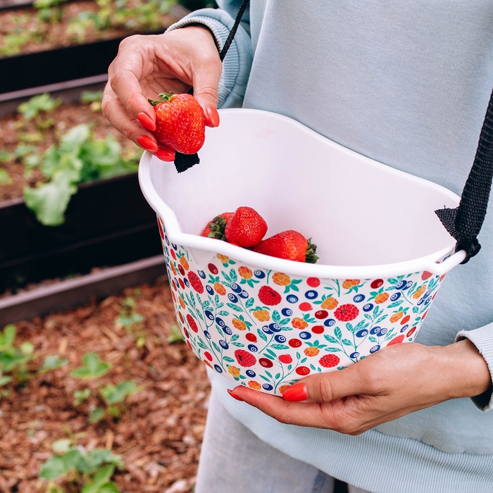 Ёмкость для сбора ягод, 3 л, &laquo;Яркие ягодки&raquo;, белая