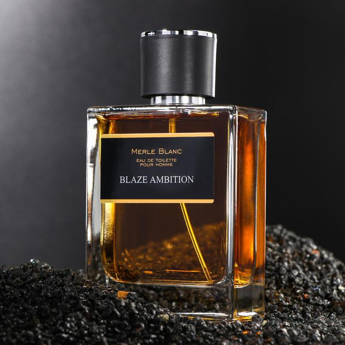 Туалетная вода мужская Merle blanc BLAZE AMBITION, 100 мл Туалетная вода мужская Merle blanc BLAZE AMBITION, 100 мл
