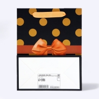 Пакет ламинированный &laquo; Горох на черном&raquo;, MS 18 &times; 23 &times; 10 см