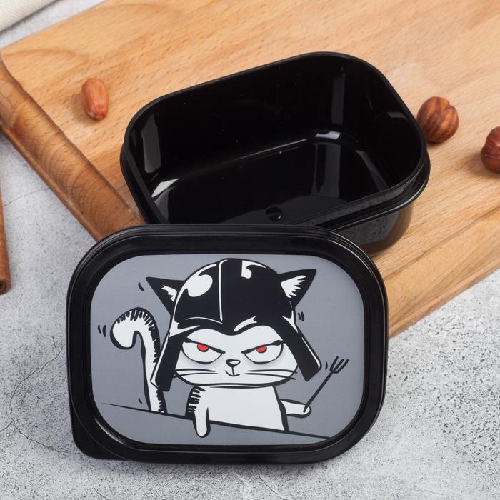 Ланч-бокс прямоугольный FoodVibes &laquo;Переходи на тёмную сторону&raquo;, 150 мл