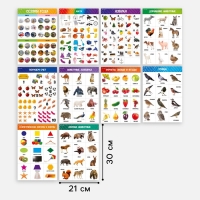 Набор обучающих плакатов «Изучаем мир», 10 в 1, А4 Набор обучающих плакатов «Изучаем мир», 10 в 1, А4