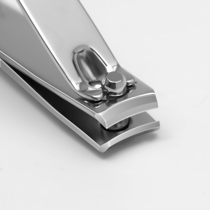 Кусачки-книпсер маникюрные ZINGER, с пилкой, 6 см, на блистере, цвет серебристый, SLN 603-FC Кусачки-книпсер маникюрные ZINGER, с пилкой, 6 см, на блистере, цвет серебристый, SLN 603-FC