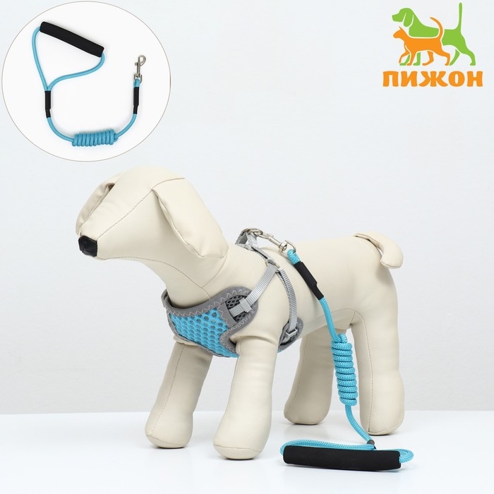 Комплект амуниции с мягкой дышащей шлейкой и круглым поводком 120 х 1 см, красный