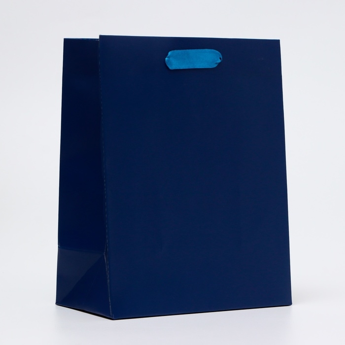 Пакет ламинированный &laquo;Синий&raquo;, MS 18 &times; 23 &times; 10 см