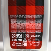 Подарочный набор косметики &laquo;Настоящему мужчине в Новый Год&raquo;, гель для душа и шампунь для волос, 2 х 250 мл, ЧИСТОЕ СЧАСТЬЕ