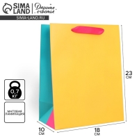 Пакет подарочный трёхцветный, упаковка, &laquo;Жёлтый-розовый-голубой&raquo;, MS 18 х 23 х 10 см