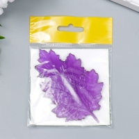 Молд пластик st-0061 "Универсальный (хризантема)" 10,5хх6,5 см МИКС Молд пластик st-0061 "Универсальный (хризантема)" 10,5хх6,5 см МИКС