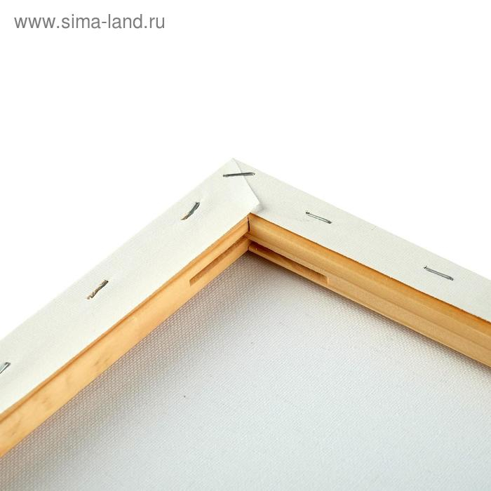 Холст на подрамнике, хлопок 100%, 50 х 60 х 1.8 см, акриловый грунт, мелкозернистый, 280 г/м&sup2;