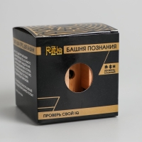Головоломка деревянная Игры разума &laquo;Башня познания&raquo;