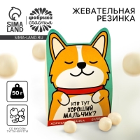 Жевательная резинка &laquo;Кто тут хороший мальчик?&raquo;, вкус: тутти-фрутти, 50 г.