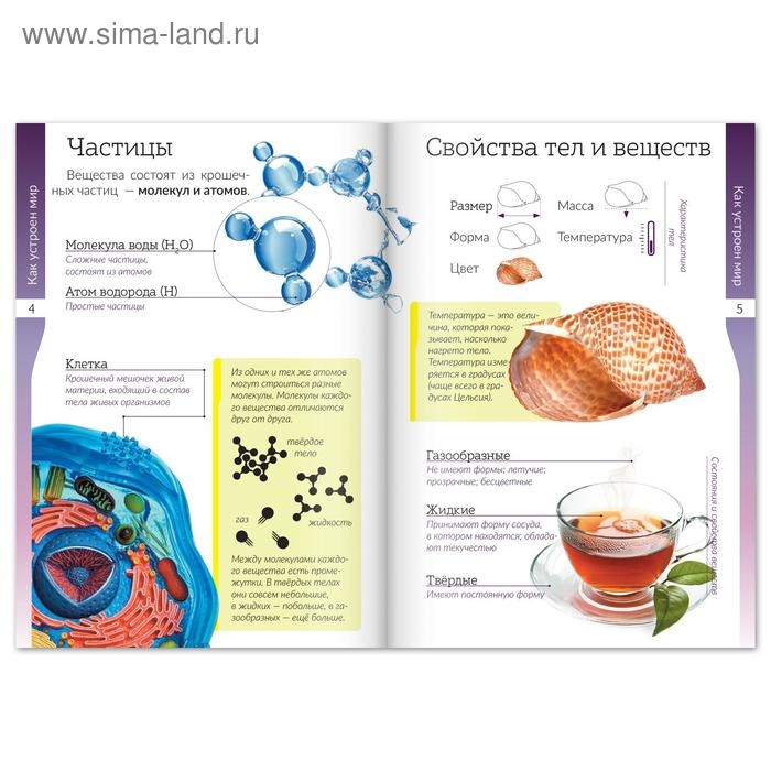 Набор книжек-шпаргалок &laquo;Мир природы и человека&raquo;, 6 шт.