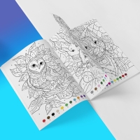 Раскраски по номерам &laquo;Для девочек&raquo;, набор 4 шт., по 16 стр.