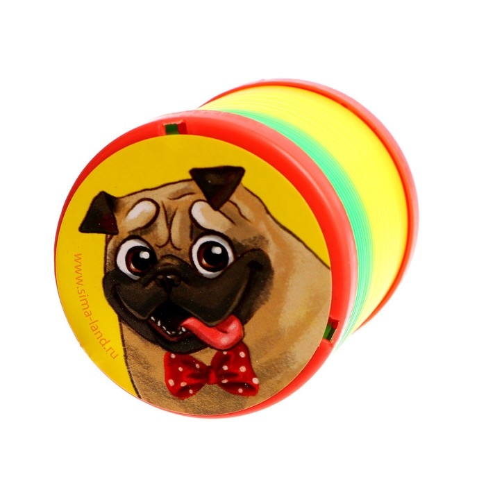 Пружинка - радуга «Лучший друг», d=5 см Пружинка - радуга «Лучший друг», d=5 см