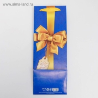 Пакет подарочный под бутылку, упаковка, «С бантом», 36 х 13 х 10 см Пакет подарочный под бутылку, упаковка, «С бантом», 36 х 13 х 10 см