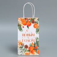 Пакет подарочный новогодний крафтовый &laquo;Новогодний цитрус&raquo;, 12 х 21 х 9 см, Новый год