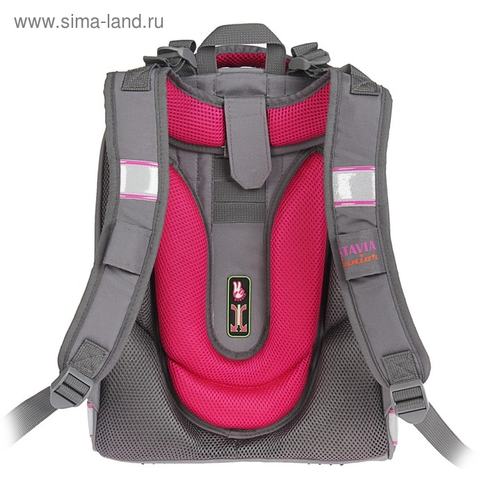 Рюкзак каркасный школьный 36 х 28 х 16 см, эргономичная спинка, Stavia "Мишка", серый