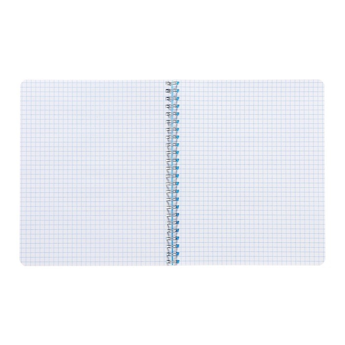 Тетрадь на гребне A5 48 листов в клетку Calligrata Голубая, пластиковая обложка, блок офсет Тетрадь на гребне A5 48 листов в клетку Calligrata Голубая, пластиковая обложка, блок офсет