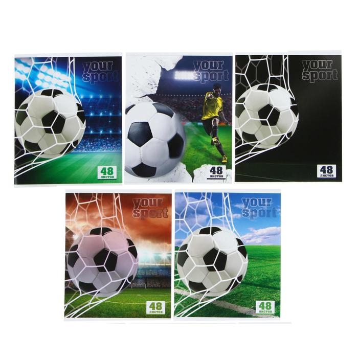 Тетрадь 48 листов в клетку Calligrata Тетрадь 48 листов в клетку Calligrata "Победа!", обложка мелованный картон, УФ-лак, блок офсет, МИКС