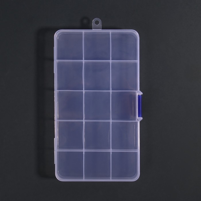 Органайзер для декора, 15 ячеек, 17,4 × 10 × 2,2 см, цвет прозрачный Органайзер для декора, 15 ячеек, 17,4 × 10 × 2,2 см, цвет прозрачный