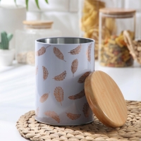 Банка для хранения сыпучих продуктов «Перо», 11×11×15,5 см, цвет лавандовый Банка для хранения сыпучих продуктов «Перо», 11×11×15,5 см, цвет лавандовый