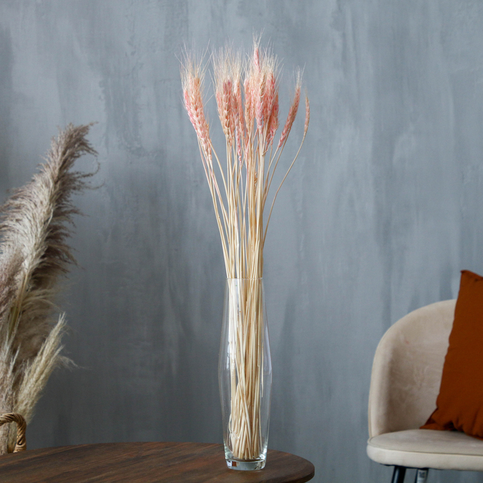 Сухой колос пшеницы, набор 50 шт., цвет розовый Сухой колос пшеницы, набор 50 шт., цвет розовый