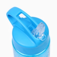 Бутылка для воды, 700 мл, 24.5 х 6.5 см Бутылка для воды, 700 мл, 24.5 х 6.5 см