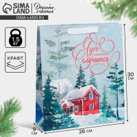 Пакет подарочный новогодний крафтовый вертикальный &laquo;Чудеса случаются&raquo;, M 26 х 30 х 9 см, Новый год