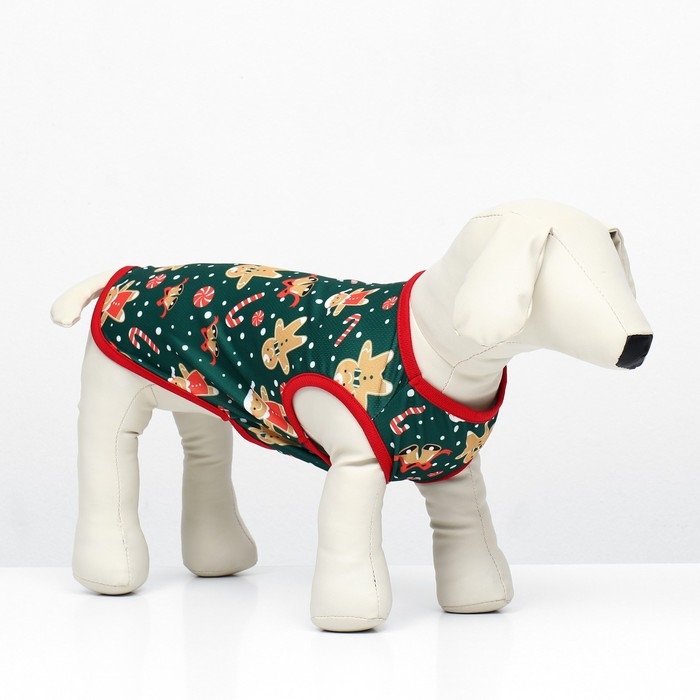 Толстовка Толстовка "Пряня", размер XS (ДС 20, ОШ 20, ОГ 30 см), зелёная