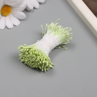 Тычинки для искусственных цветов глянец "Рисинки" светло-зелёный набор 360 шт длина 6 см