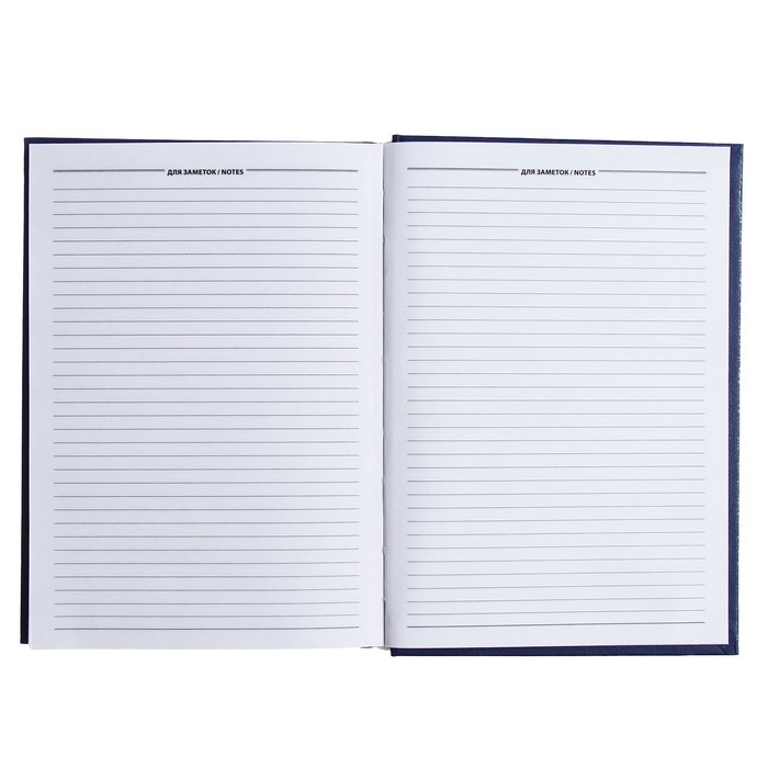 Ежедневник полудатированный на 4 года А5, 192 листа, обложка бумвинил, синий