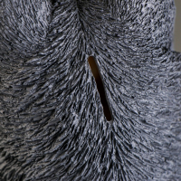 Копилка "Собака Хаски" 27х20х37см Копилка "Собака Хаски" 27х20х37см