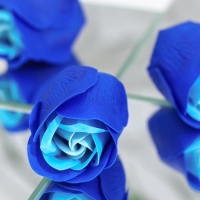 Мыльные розочки, трёхцветные,набор 6 шт. Мыльные розочки, трёхцветные,набор 6 шт.