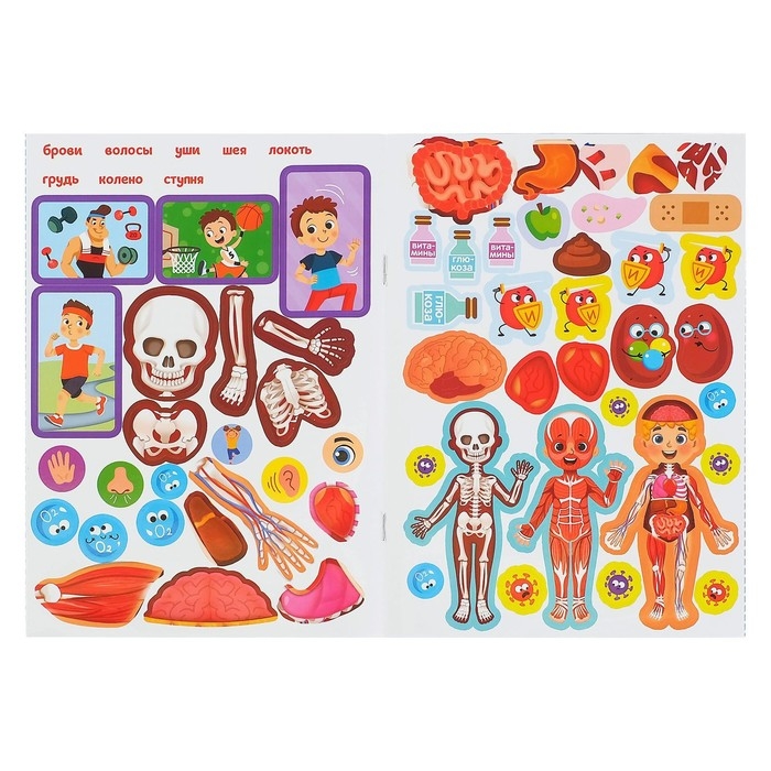 Наклейки набор «Тело человека», 2 шт. по 16 стр. Наклейки набор «Тело человека», 2 шт. по 16 стр.