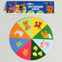 Обучающий набор &laquo;Животные&raquo;