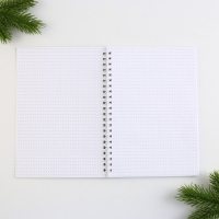 Новый год. Ежедневник в точку &laquo;Верь в чудеса&raquo;, А5, 60 листов