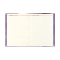 Ежедневник датир 2025г А6+ 176л ESCALADA, мяг обл, иск кожа, тис ф, кр бл 70г/м2, сир-ый