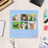 Календарь перекидной на скрепке "Весёлые котята" 2025 год, 6 листов, 29х29 см Календарь перекидной на скрепке "Весёлые котята" 2025 год, 6 листов, 29х29 см